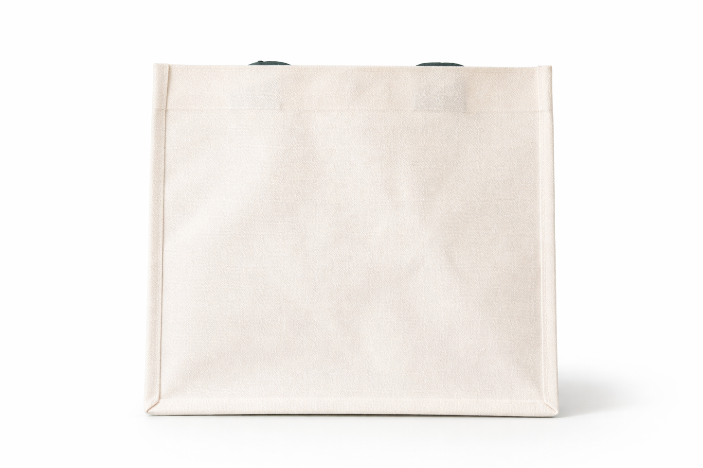 Premium Carry Bag